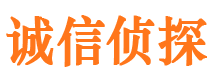 隆回市调查公司